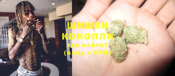 крисы Ельня