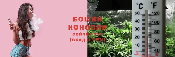 Альфа ПВП Дмитров