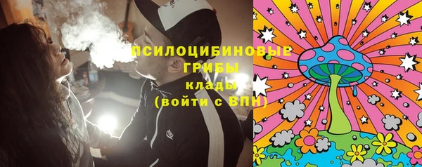 ешки Елизово