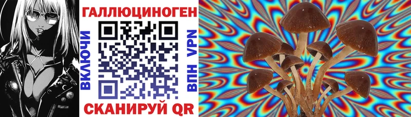 Галлюциногенные грибы Cubensis цены наркотик Тотьма